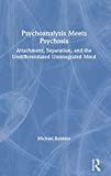 Psychoanalysis meets psychosis : attachment, separation, and the undifferentiated unintegrated mind /