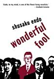 Wonderful Fool /