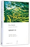 缓慢的归乡 /