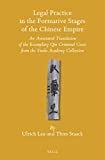 Legal practice in the formative stages of the Chinese empire : an annotated translation of the exemplary Qin criminal cases from the Yuelu Academy collection /