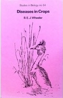 Diseases in crops /