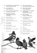 Song and garden birds of North America /